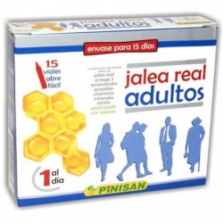 Comprar online JALEA REAL ADULTOS 15 Viales de PINISAN. Imagen 1