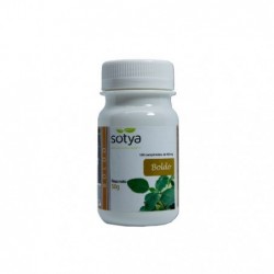 Comprar online BOLDO 500 mg 100 Comp de SOTYA BESLAN. Imagen 1