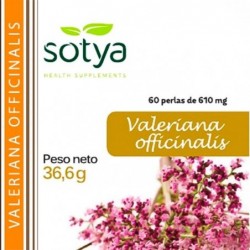 Comprar online VALERIANA 60 Perlas de SOTYA BESLAN. Imagen 1