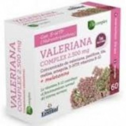Comprar online VALERIANA COMPLEX 2740 mg EXT SECO 60 Caps BLISTER de NATURE ESSENTIAL. Imagen 1
