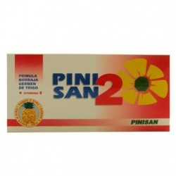 Comprar online PINISAN 2 10 Viales de PINISAN. Imagen 1