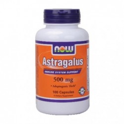 Comprar online ASTRAGALUS 500 mg 100 Caps de NOW. Imagen 1