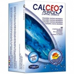 Comprar online CALCEO 3 FORCE 60 Comp de ORTHONAT. Imagen 1