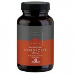 Comprar online CORDICEPS 500 mg (CORDYCEPS SINENSIS) 50 Vcaps de TERRANOVA. Imagen 1