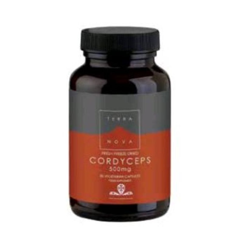 Comprar online CORDICEPS 500 mg (CORDYCEPS SINENSIS) 50 Vcaps de TERRANOVA