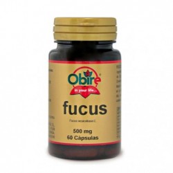 Comprar online FUCUS 500 mg 60 Caps de OBIRE. Imagen 1