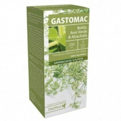 Comprar online GASTOMAC 250 ml de DIETMED. Imagen 1