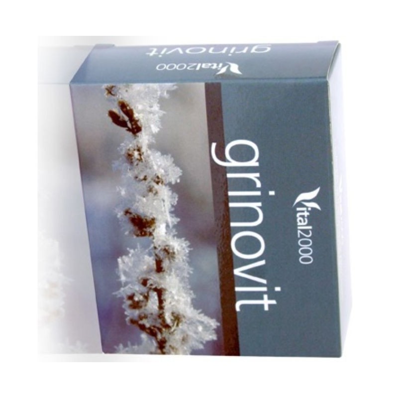 Comprar online GRINOVIT 60 Comp de VITAL 2000