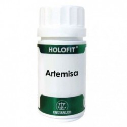 Comprar online HOLOFIT ARTEMISA 100 mg 60 Caps de EQUISALUD. Imagen 1