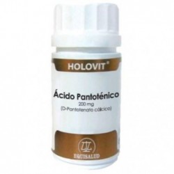 Comprar online HOLOVIT ACIDO PANTOTENICO 200 mg 50 Caps. de EQUISALUD. Imagen 1