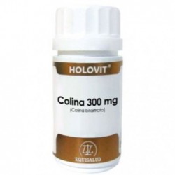 Comprar online HOLOVIT COLINA 300 mg 50 Caps de EQUISALUD. Imagen 1