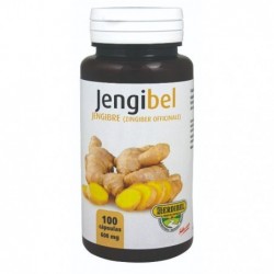 Comprar online JENGIBEL 100 Caps de HERDIBEL. Imagen 1