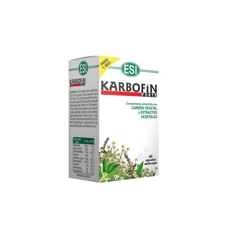 Comprar online KARBOFIN FORTE 60 Caps de TREPATDIET