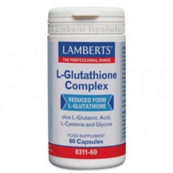 Comprar online L-GLUTATIONA COMPLEX 60 Caps de LAMBERTS. Imagen 1