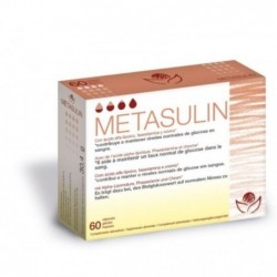 Comprar online METASULIN 60 Caps de BIOSERUM. Imagen 1