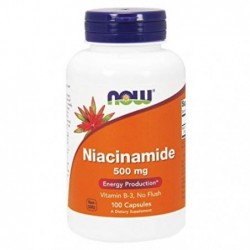 Comprar online NIACINAMIDA (B-3) 500 mg 100 Caps. de NOW. Imagen 1