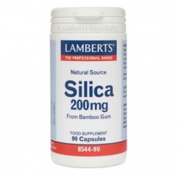 Comprar online SILICA 200 mg 90 Caps de LAMBERTS. Imagen 1