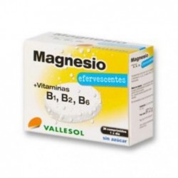 Comprar online VALLESOL MAGNESIO+B 24Comp EFE de VALLESOL. Imagen 1