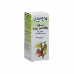 Comprar online VITIS VINIFERA 50 ml de BIOVER. Imagen 1