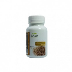Comprar online LEVADURA CERVEZA 500 mg 150 Comp de SOTYA BESLAN. Imagen 1
