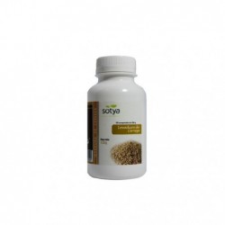 Comprar online LEVADURA CERVEZA 500 mg 250 Comp de SOTYA BESLAN. Imagen 1