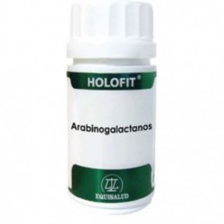 Comprar online HOLOFIT ARABINOGALACTANOS 50 Cap de EQUISALUD. Imagen 1