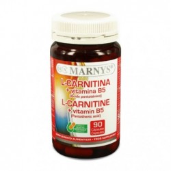 Comprar online L-CARNITINA + VITAMINA B5 500 mg 90 Vcaps de MARNYS. Imagen 1