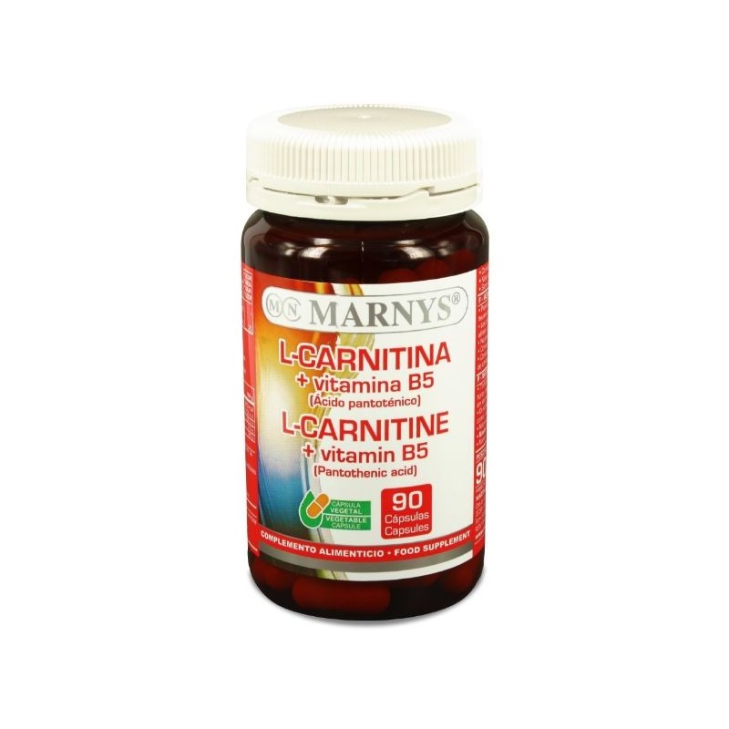 Comprar online L-CARNITINA + VITAMINA B5 500 mg 90 Vcaps de MARNYS