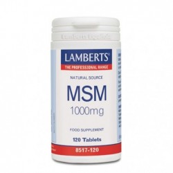 Comprar online MSM 1000 mg 120 Tabs de LAMBERTS. Imagen 1