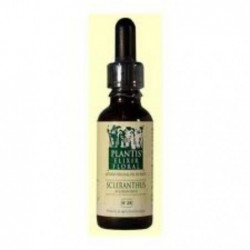 Comprar online PLANTIS 28 SCLERANTHUS 10 ml de ARTESANIA AGRICOLA. Imagen 1