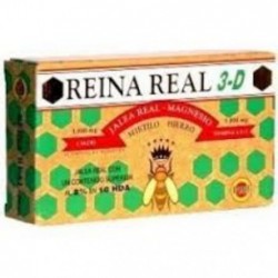 Comprar online REINA REAL 3ª Edad 20 Amp de ROBIS. Imagen 1