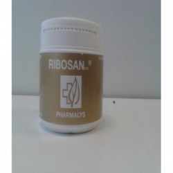 Comprar online RIBOSAN 310 gr EN POLVO de PHARMALYS. Imagen 1