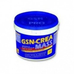 Comprar online GSN-CREA MASS NARANJA 2 Kg de GSN. Imagen 1