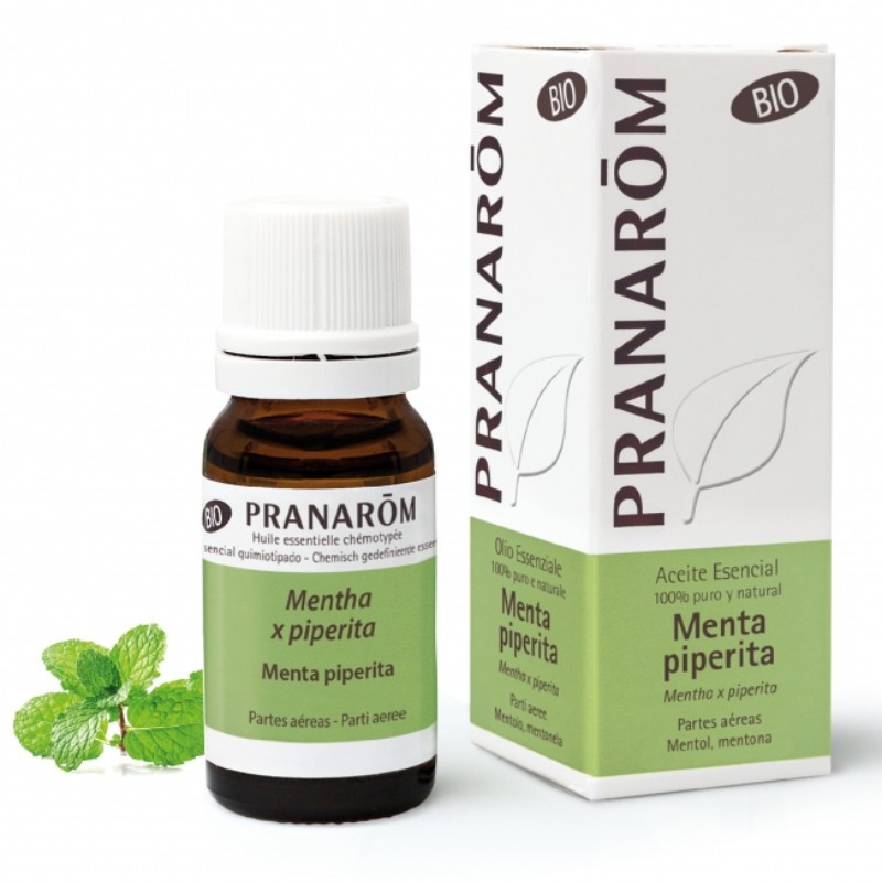 Comprar online MENTA PIPERITA PARTES AEREAS 10 ml BIO de PRANAROM