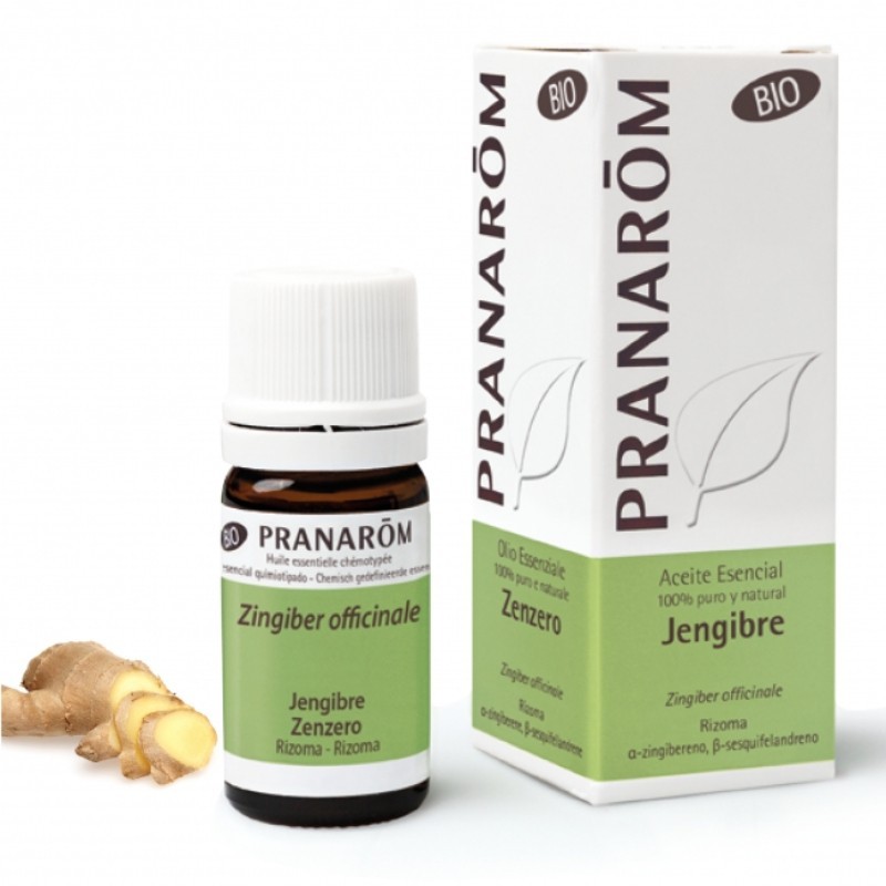 Comprar online JENGIBRE RIZOMA 5 ml BIO de PRANAROM