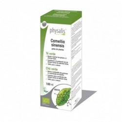 Comprar online CAMELLIA SINENSIS 100 ml ( TINTURA TE VERDE) de PHYSALIS. Imagen 1