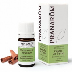 Comprar online CANELA DE CEILAN CORTEZA 5 ml de PRANAROM. Imagen 1