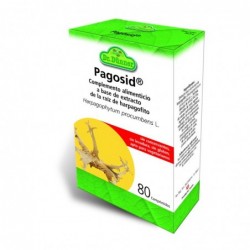 Comprar online PAGOSID HARPAGOPHITUM 80 Comp de DR.DUNNER. Imagen 1