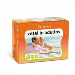 Comprar online VITTAL IN ADULTOS RENOVADO 20 Viales de PLAMECA. Imagen 1