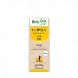 Comprar online PROPOLEO SPRAY 15 ml de HERBALGEM. Imagen 1