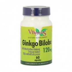 Comprar online GINKGO BILOBA 120 mg 60 Caps. de V.BYOTIC. Imagen 1