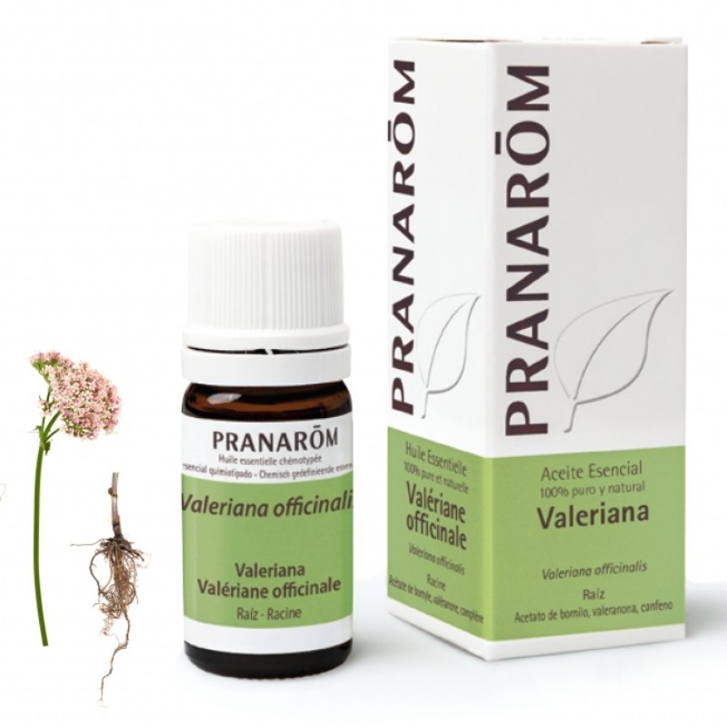 Comprar online VALERIANA RAIZ 5 ml de PRANAROM