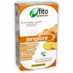 Comprar online FITOPREMIUM JENGIBRE 30 Caps de PINISAN. Imagen 1