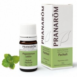 Comprar online PACHULI HOJA 5 ML de PRANAROM. Imagen 1