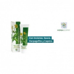 Comprar online HERBADERMA ARNICA  SIN PARABENES 100 ml de NOEFAR IMPORT NATURALES  S.L.. Imagen 1