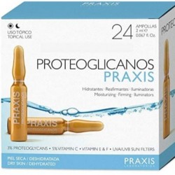 Comprar online PRAXIS PROTEOGLICANOS CAJA 24UD de PRAXIS. Imagen 1