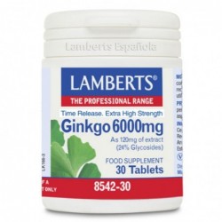 Comprar online GINKGO BILOBA 6000 mg 60 Tabs de LAMBERTS. Imagen 1