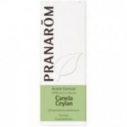 Comprar online CANELA DE CEILAN CORTEZA 5 ml BIO de PRANAROM. Imagen 1