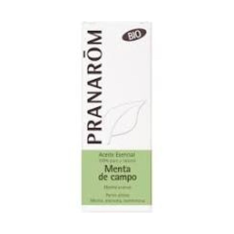 Comprar online MENTA DE CAMPO PARTES AEREAS 10 ml BIO de PRANAROM