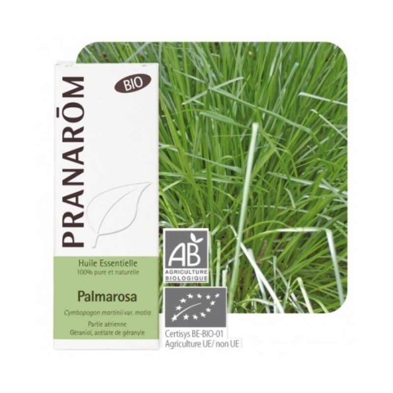 Comprar online PALMAROSA PARTES AEREAS 10 ml BIO de PRANAROM